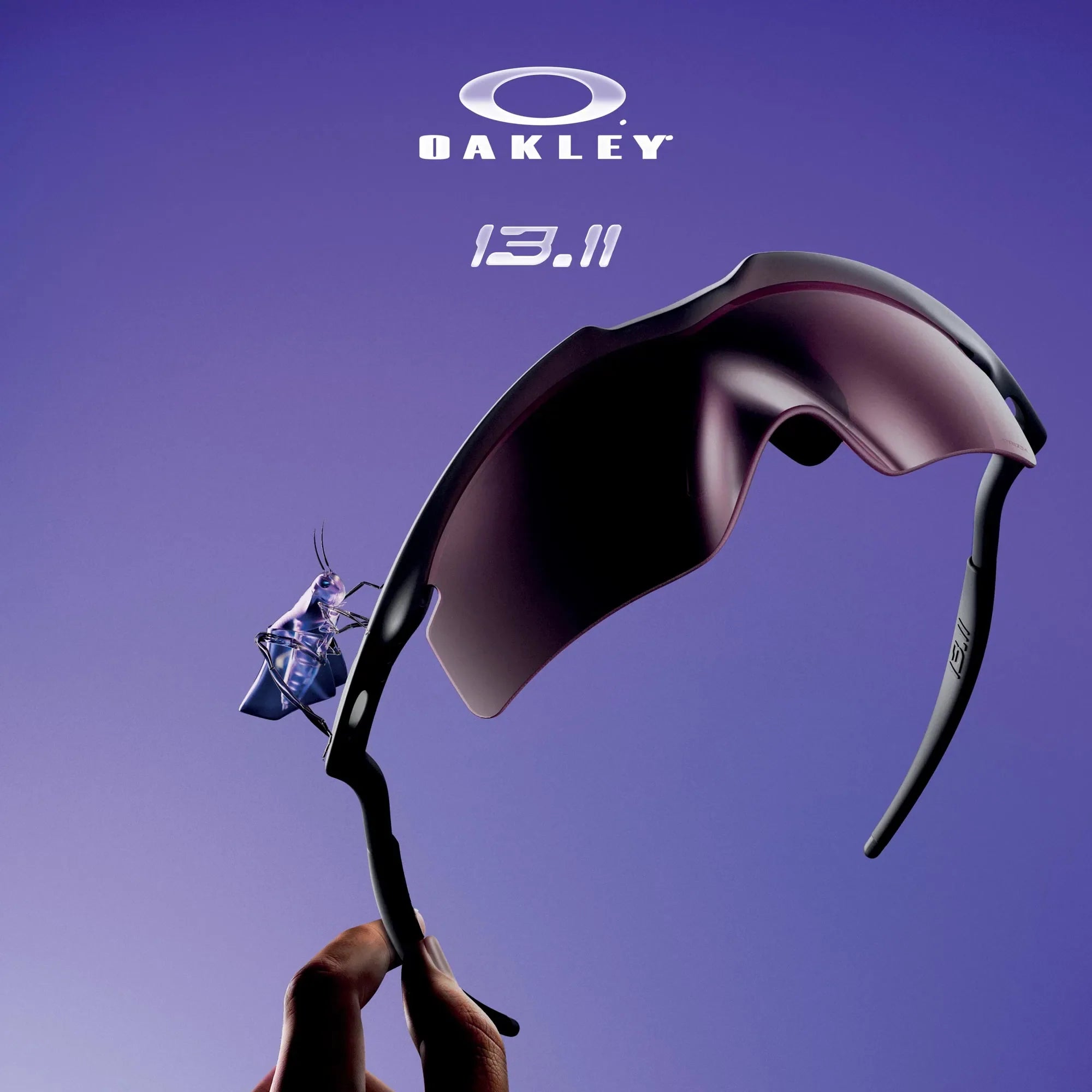 Image of Oakley - Sunglass World