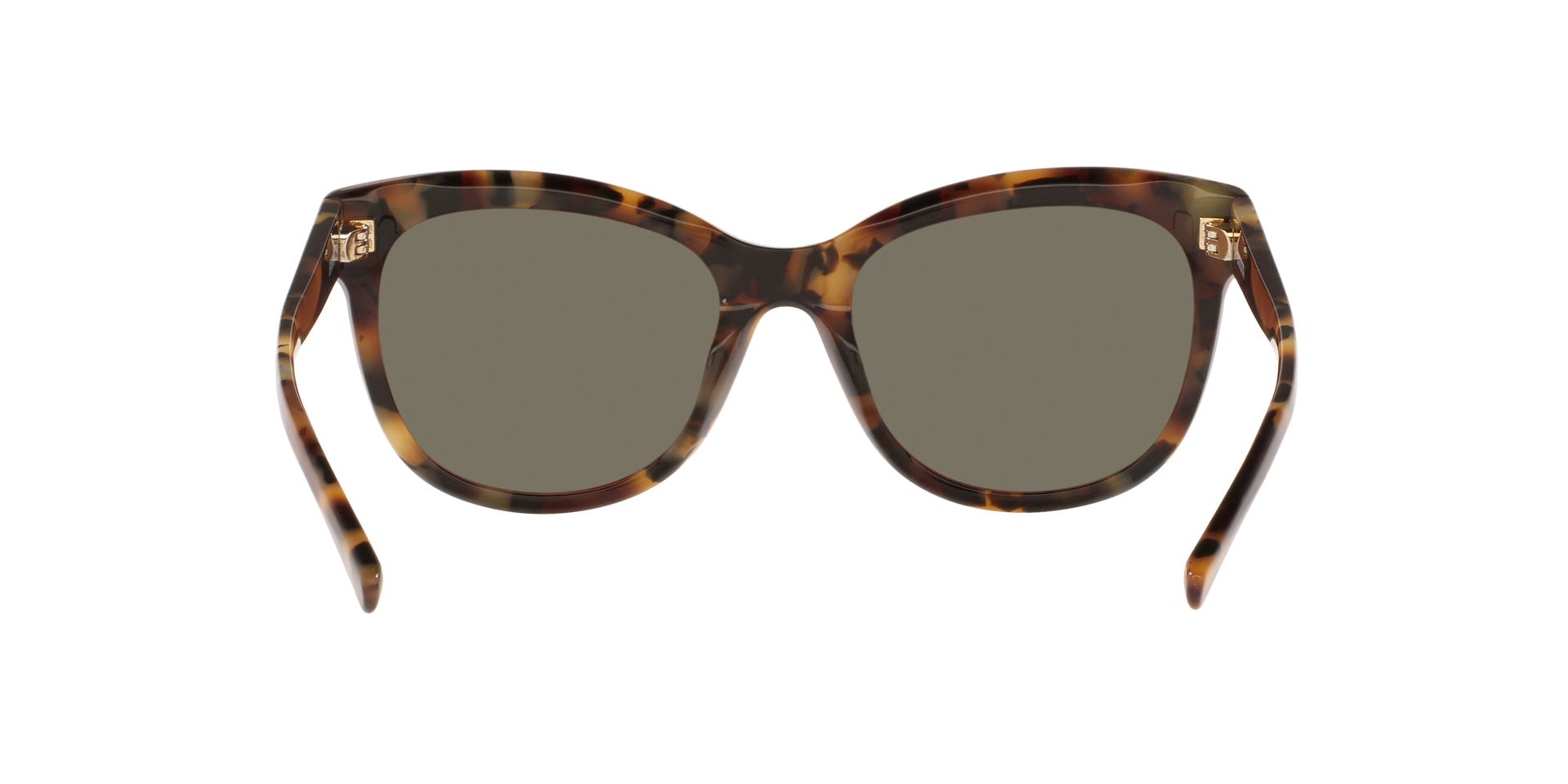 Image of Bimini - Shiny Tortoise | Blue Mirror 580G