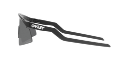 Image of Hydra