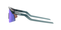 Image of Hydra