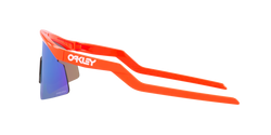 Image of Hydra