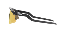 Image of Hydra