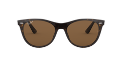 Image of Wayfarer II