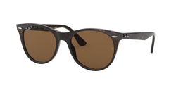 Image of Wayfarer II