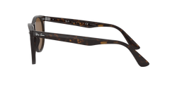 Image of Wayfarer II