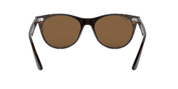 Image of Wayfarer II