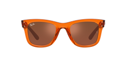 Image of Wayfarer Reverse