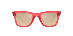 Image of Wayfarer Reverse