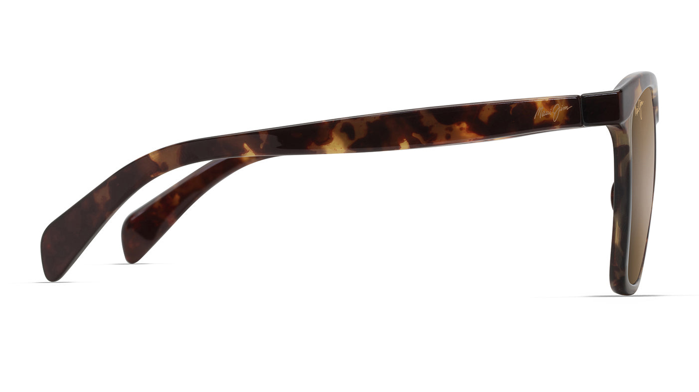 Image of Liquid Sunshine - Tokyo Tortoise | HCL Bronze