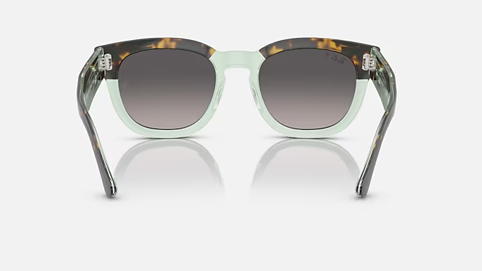 Image of Mega Hawkeye