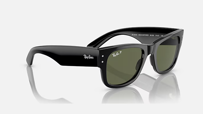 Image of Mega Wayfarer