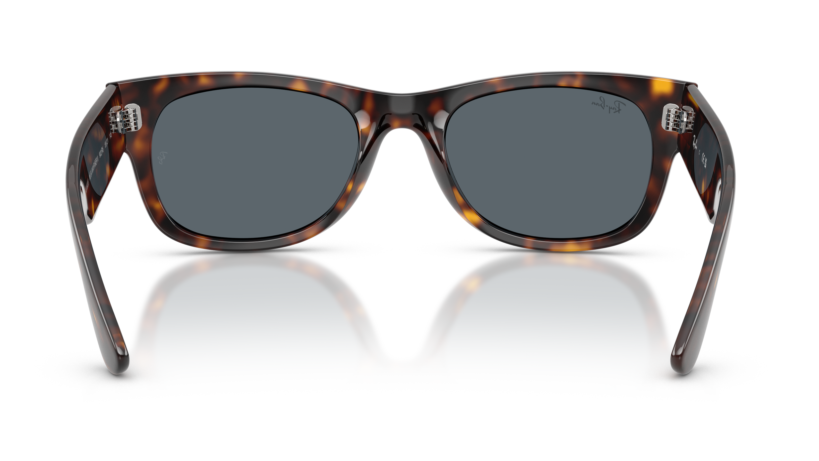 Image of Mega Wayfarer II