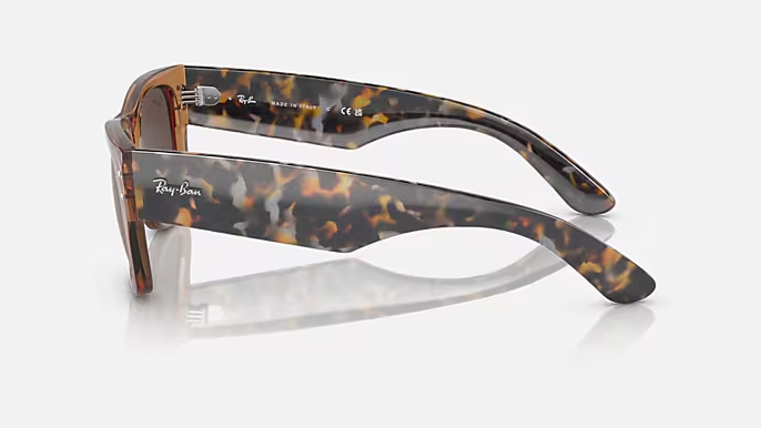 Image of Mega Wayfarer