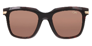 Image of 8501 - Dark Havana | Brown