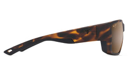Image of Amberjack