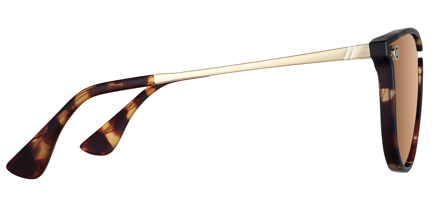 Image of North Park X2