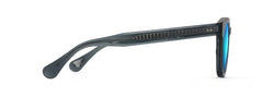 Image of Cheetah 5