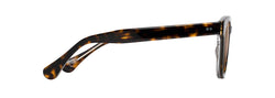 Image of Cheetah 5