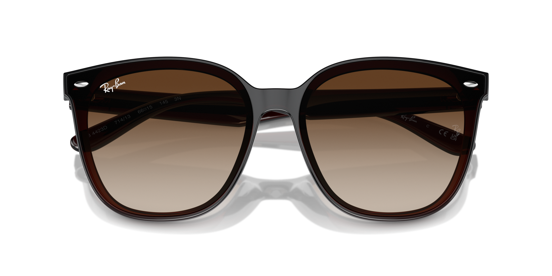 ⭐︎RT-3130423659⭐︎ RB4423D – Sunglass World