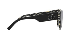 Image of DG4449