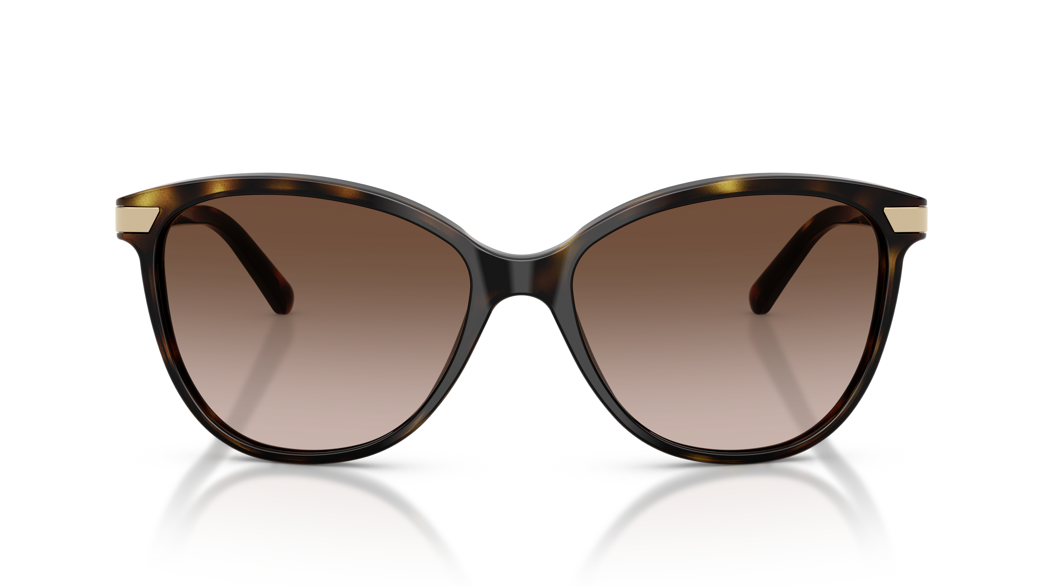 Image of BE4216 - Dark Havana | Brown Gradient