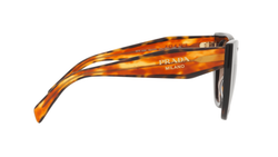 Image of PR 14WS