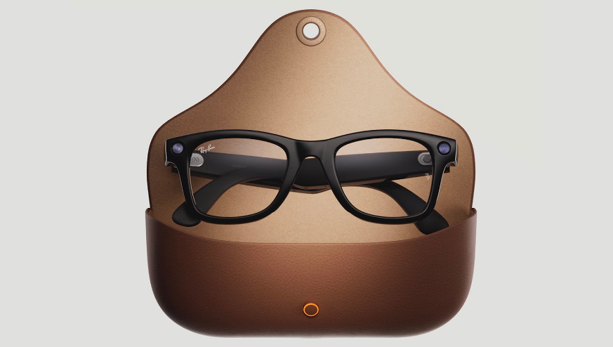 Image of Meta Wayfarer L