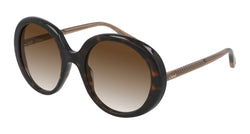 Image of CH0007S - Sunglass World