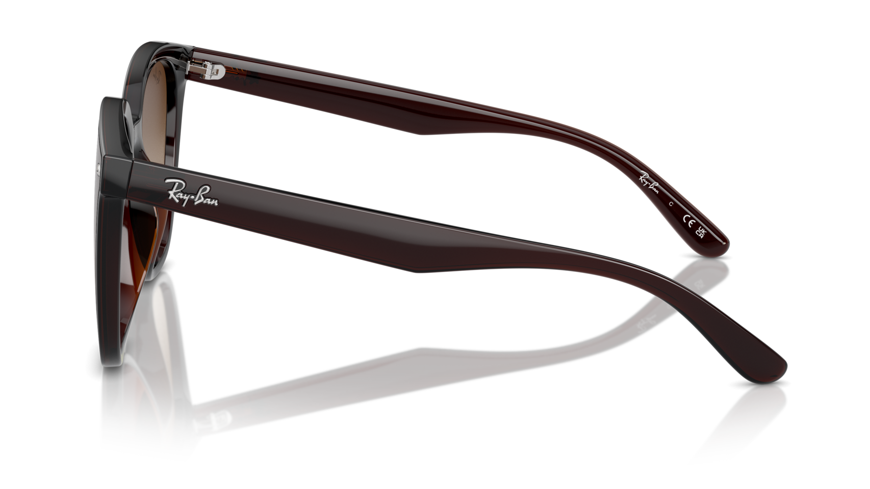 RB4423D – Sunglass World