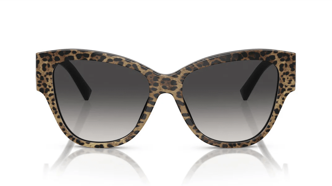 Image of DG4449 - Sunglass World