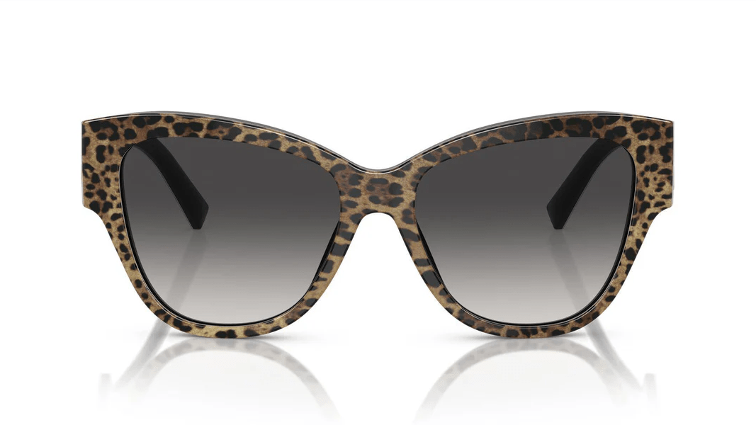 DG4449 - Sunglass World