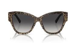 Image of DG4449 - Sunglass World
