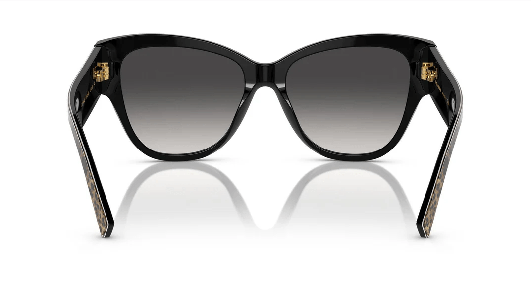 Image of DG4449 - Sunglass World