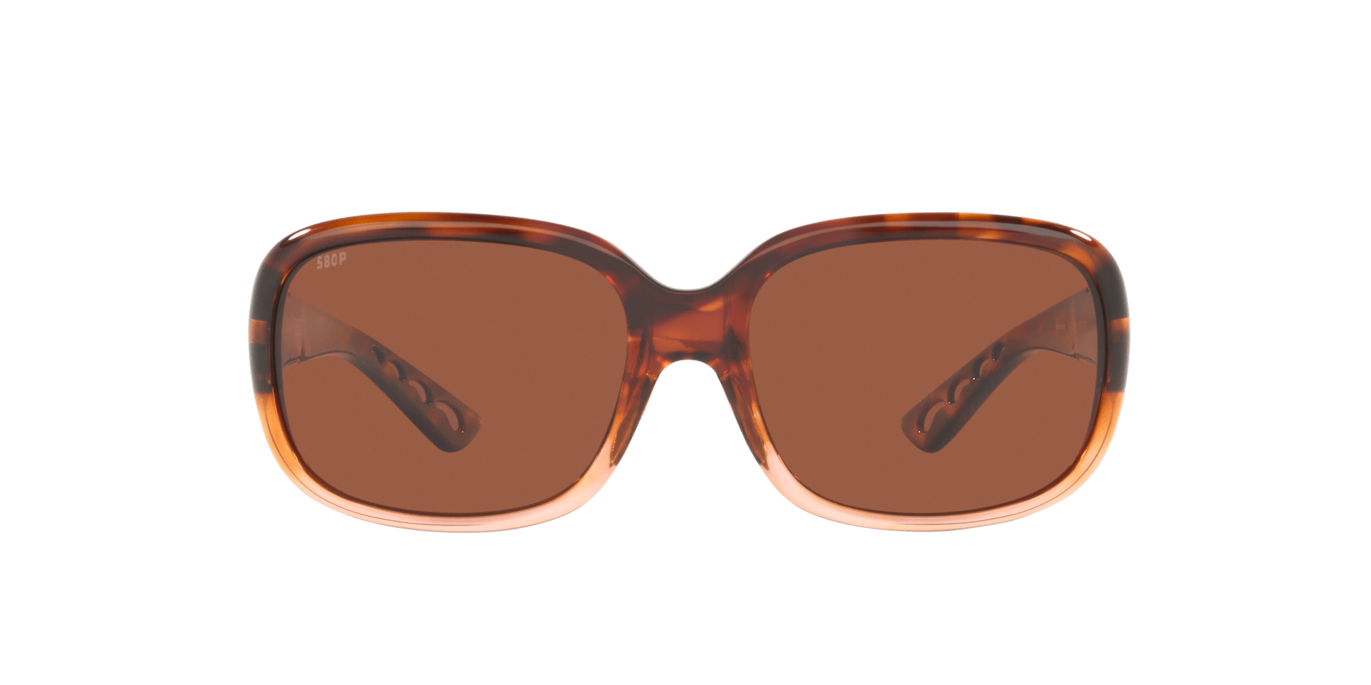 Image of Gannet - Sunglass World