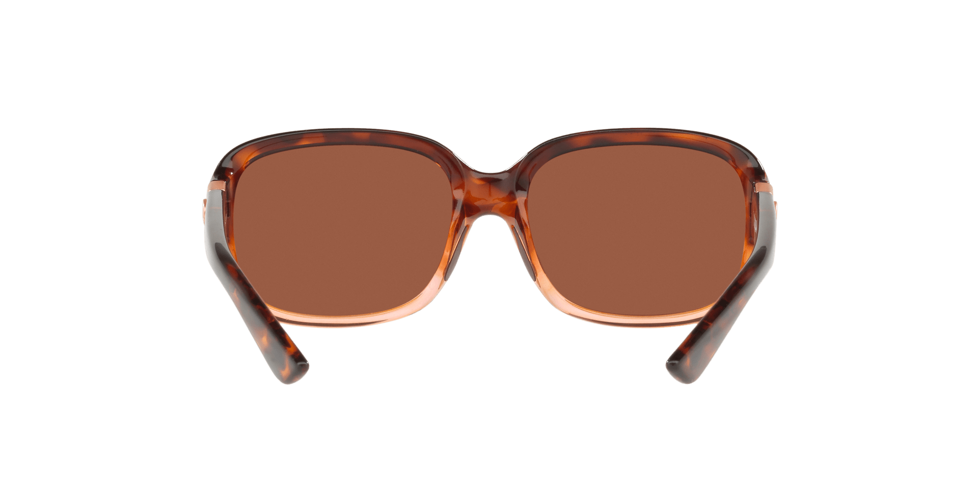 Image of Gannet - Sunglass World
