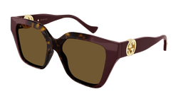 Image of GG1023S - Havana To Burgundy | Brown - Sunglass World