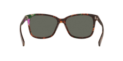Image of May - Sunglass World