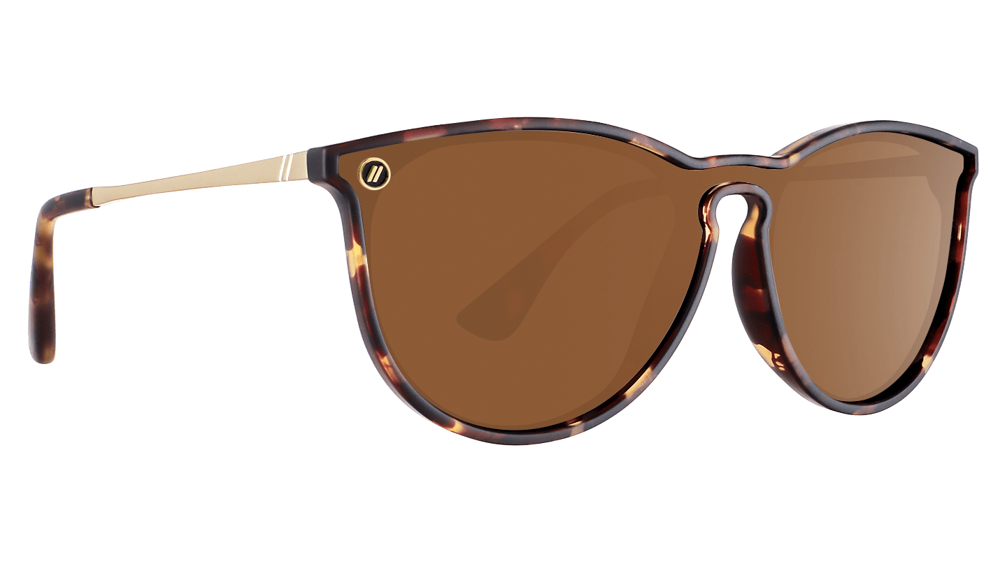 North Park X2 - Sunglass World