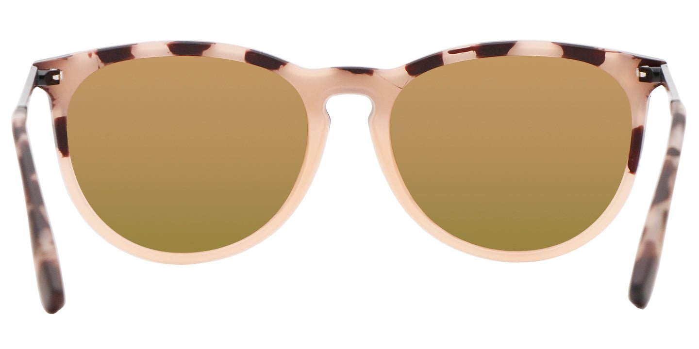 North Park X2 - Sunglass World
