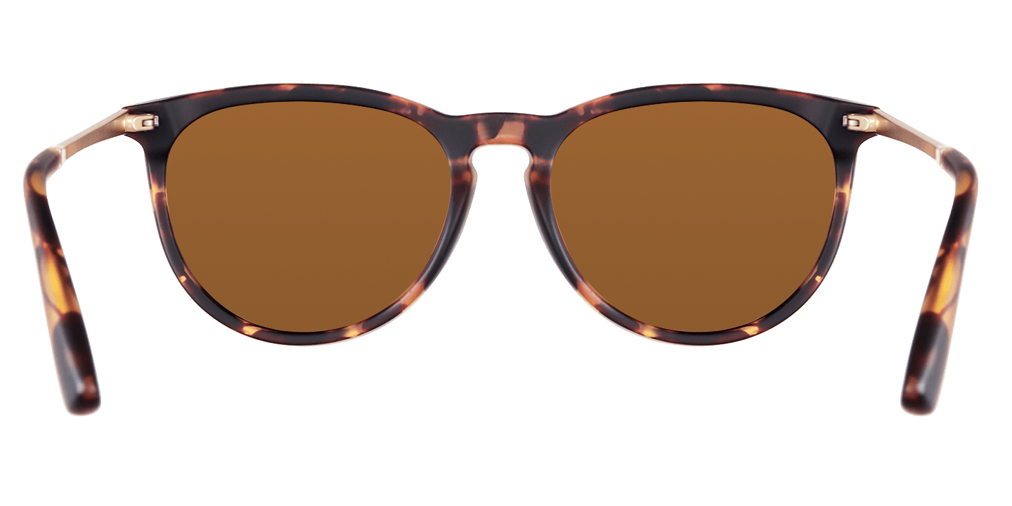North Park X2 - Sunglass World
