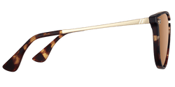 Image of North Park X2 - Sunglass World