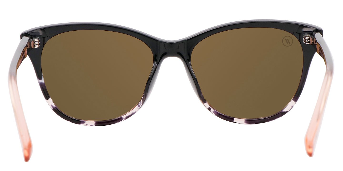 Palmy - Sunglass World