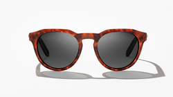 Image of Paraiso - Amber Tortoise Gloss | Grey Polycarbonate - Sunglass World