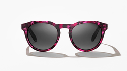 Image of Paraiso - Vivo Tortoise Gloss | Grey Polycarbonate - Sunglass World