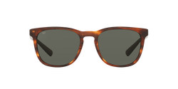 Image of Sullivan - Sunglass World