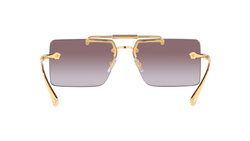Image of VE2245 - Sunglass World